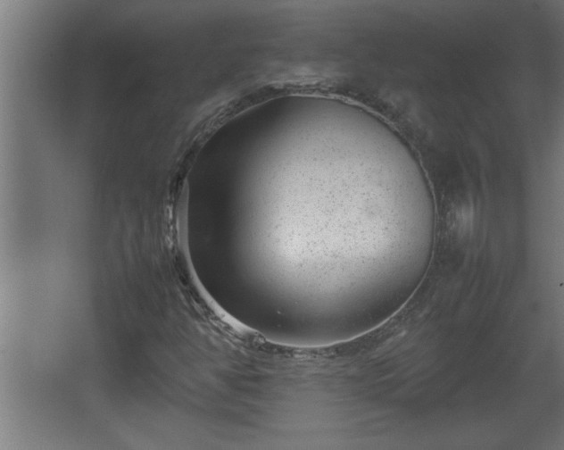 X0000067911350200604201354