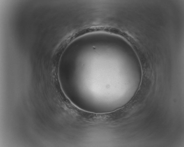 X0000067911351200604201354