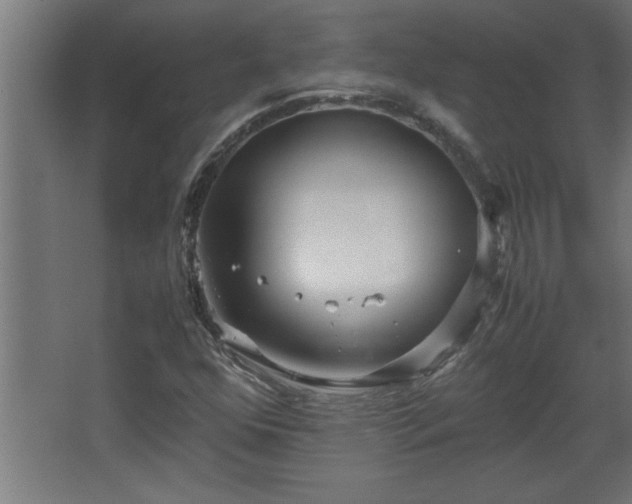 X0000067911352200604201354