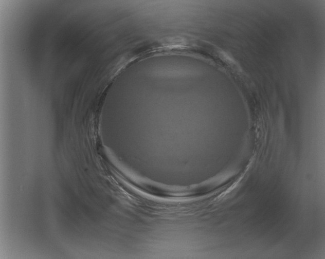 X0000067911353200604201354