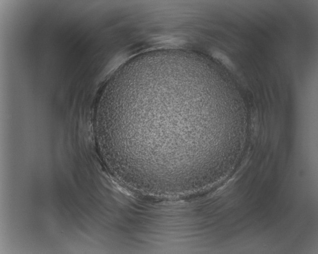 X0000067911354200604201354