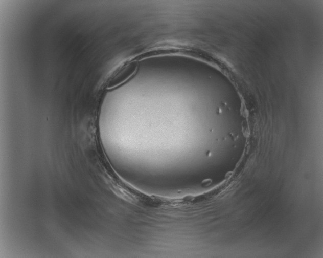 X0000067911355200604201353