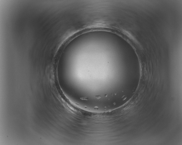 X0000067911356200604201353