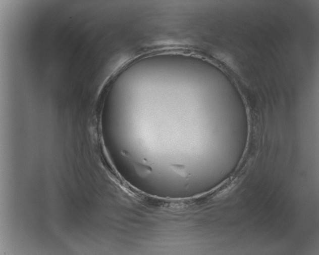 X0000067911357200604201353