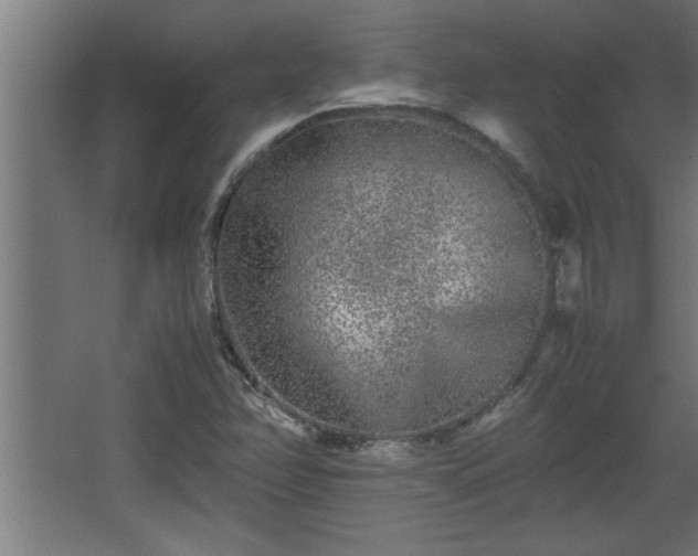 X0000067911358200604201353