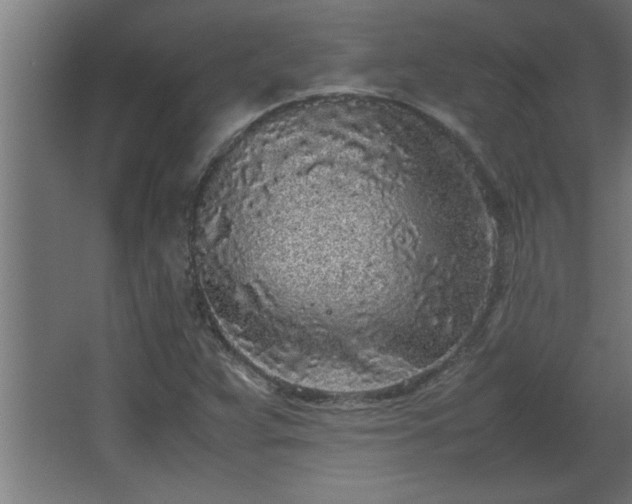 X0000067911359200604201353