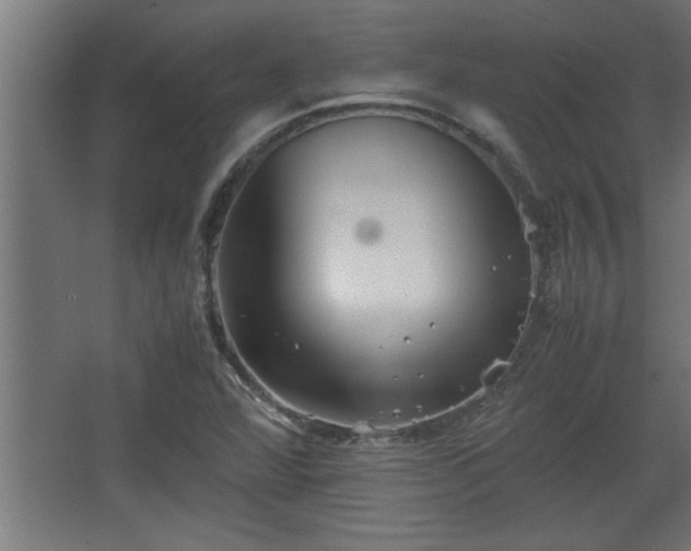 X0000067911360200604201353