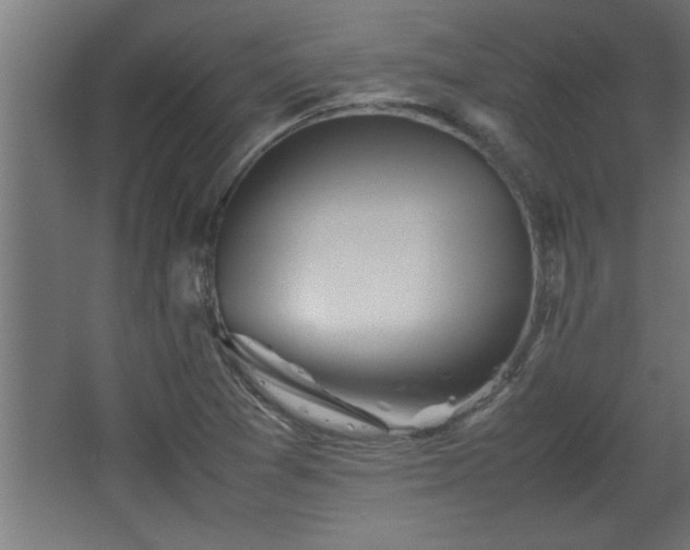 X0000067911361200604201353