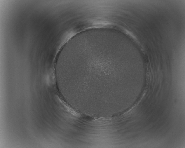 X0000067911362200604201353