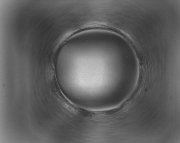 X0000067911363200604201353