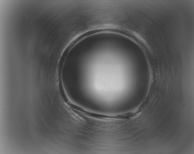 X0000067911364200604201353