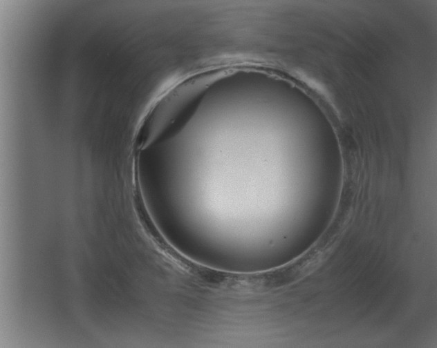 X0000067911365200604201353