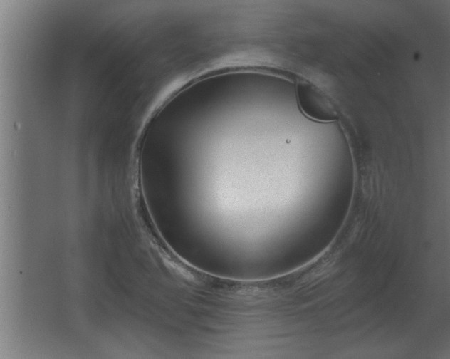 X0000067911366200604201353