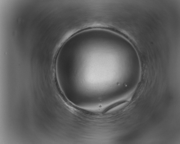 X0000067911367200604201353