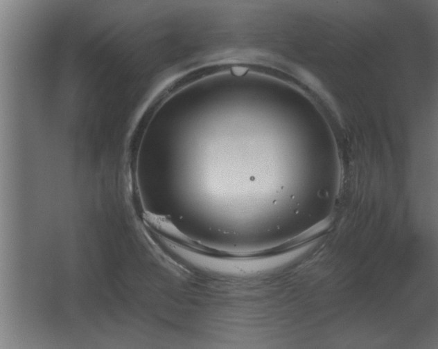 X0000067911368200604201353