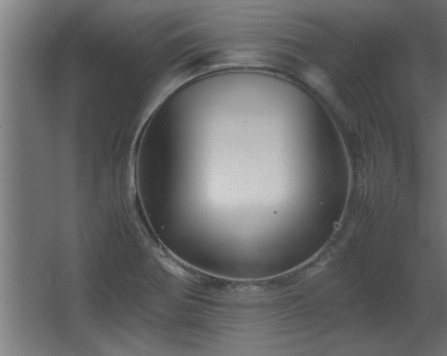 X0000067911370200604201353