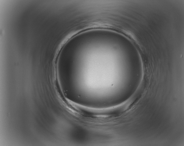 X0000067911371200604201353