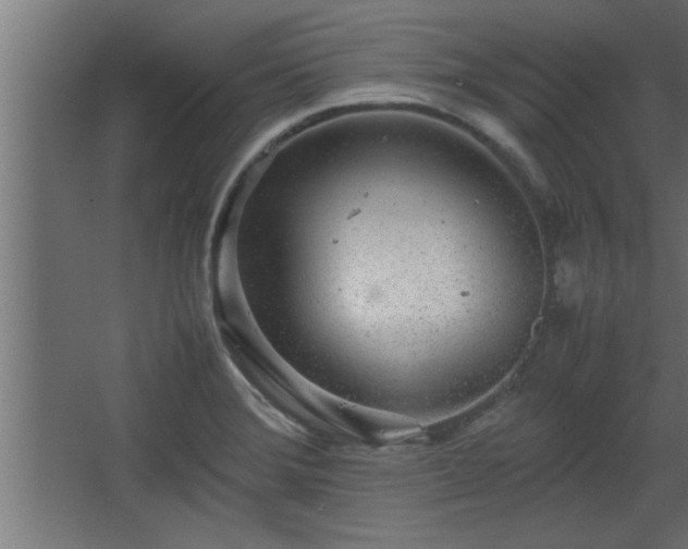 X0000067911372200604201353