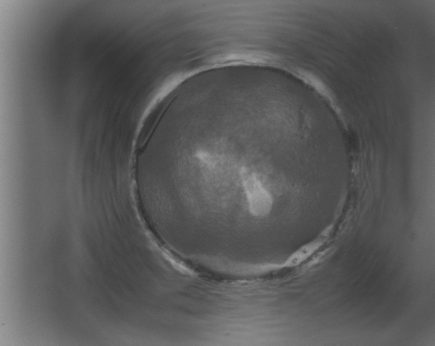 X0000067911373200604201353