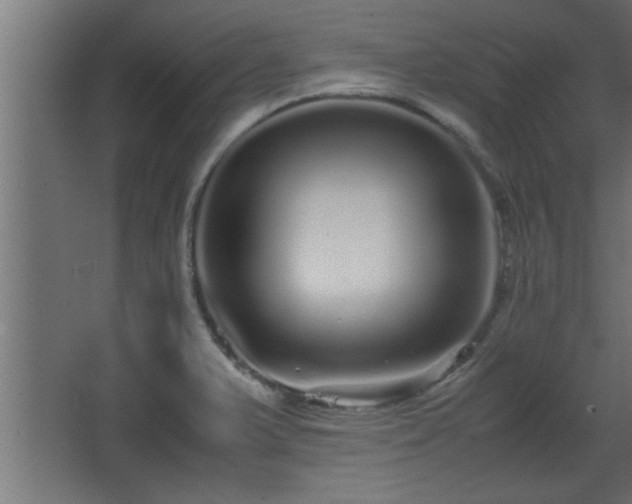 X0000067911375200604201353