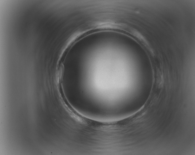 X0000067911376200604201353