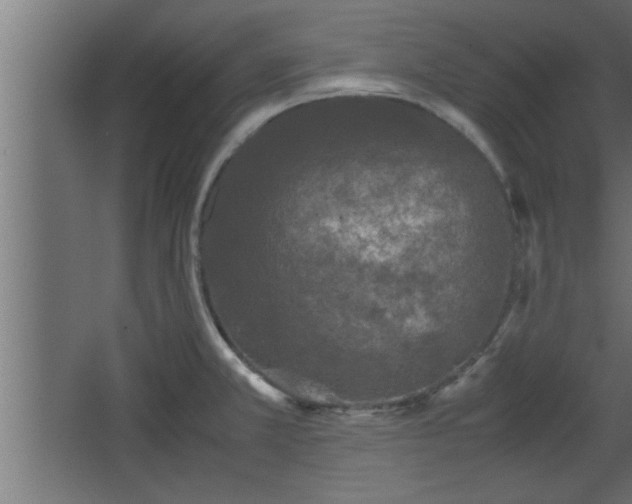 X0000067911381200604201353