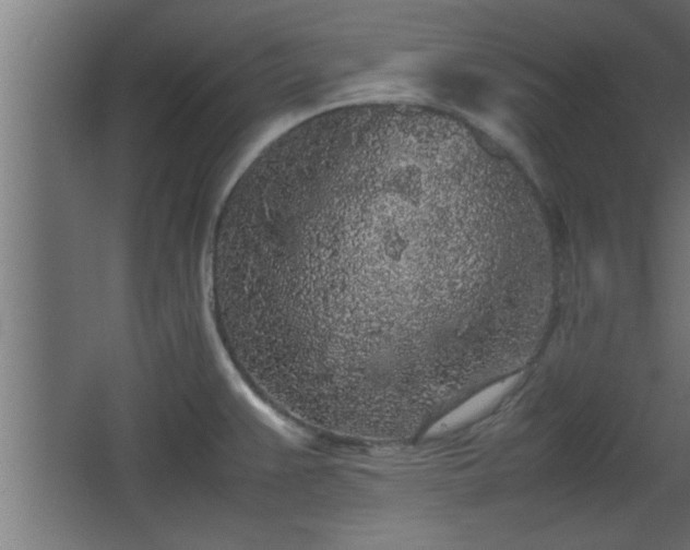 X0000067911383200604201353