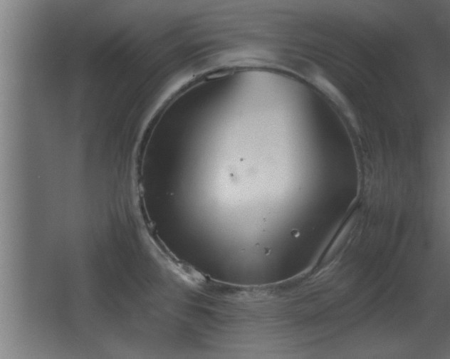 X0000067911384200604201353