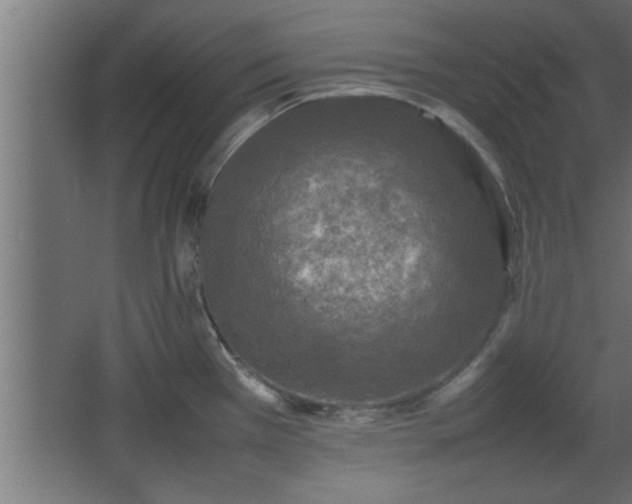 X0000067911385200604201353