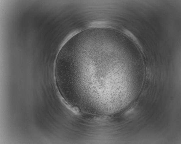 X0000067911386200604201353