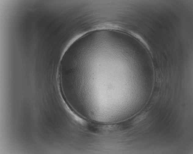 X0000067911387200604201353