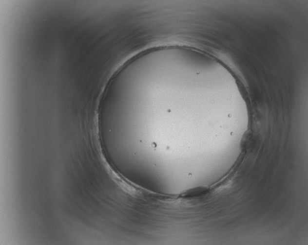 X0000067911388200604201353