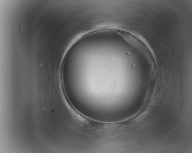 X0000067911389200604201353