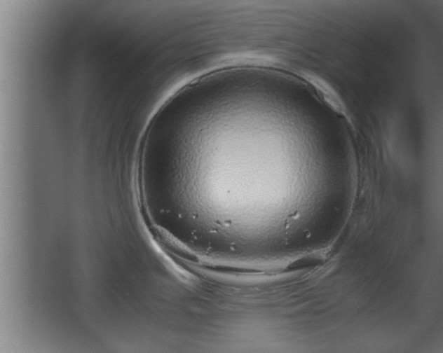 X0000067911391200604201353