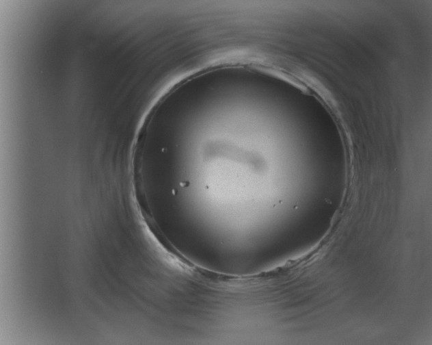 X0000067911392200604201353