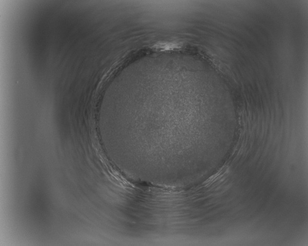 X0000067911393200604201352