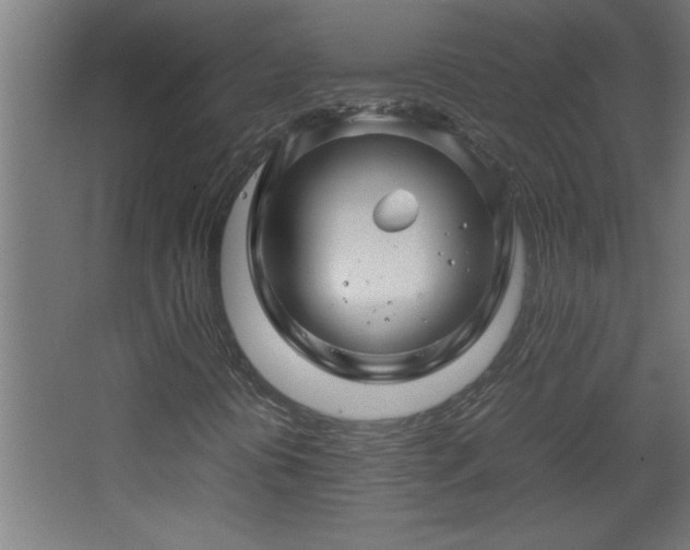 X0000067911394200604201352