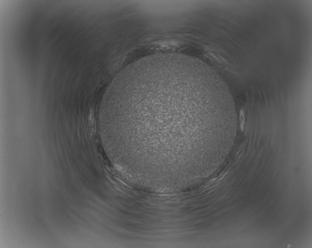 X0000067911395200604201352