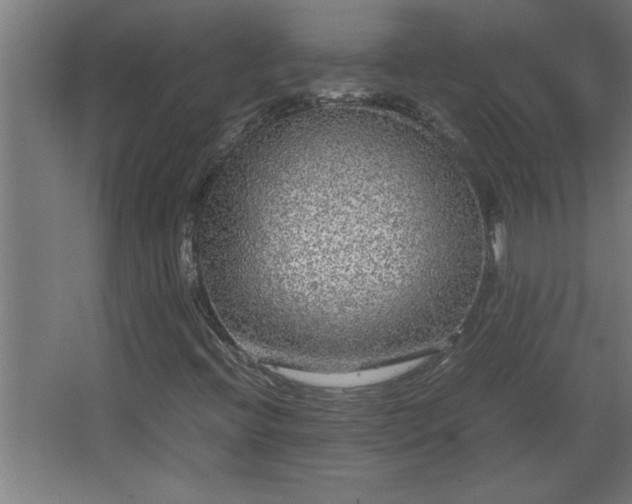 X0000067911396200604201352