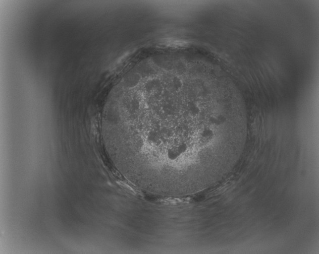 X0000067911397200604201352