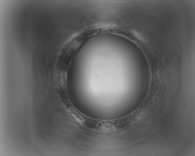 X0000067911398200604201352