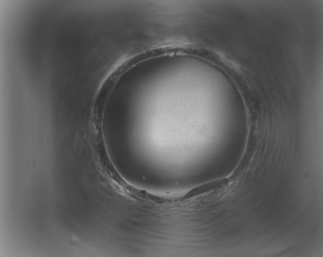 X0000067911400200604201352