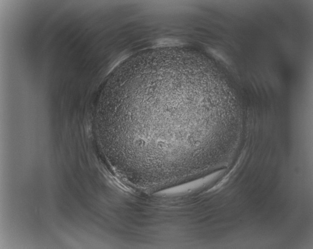 X0000067911401200604201352