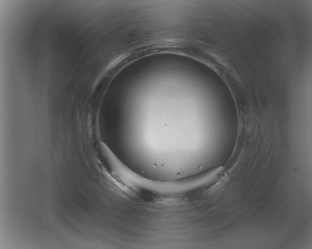 X0000067911402200604201352