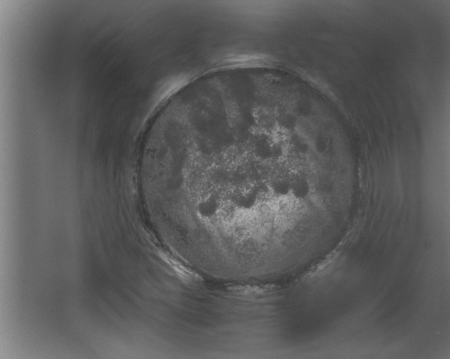 X0000067911405200604201352