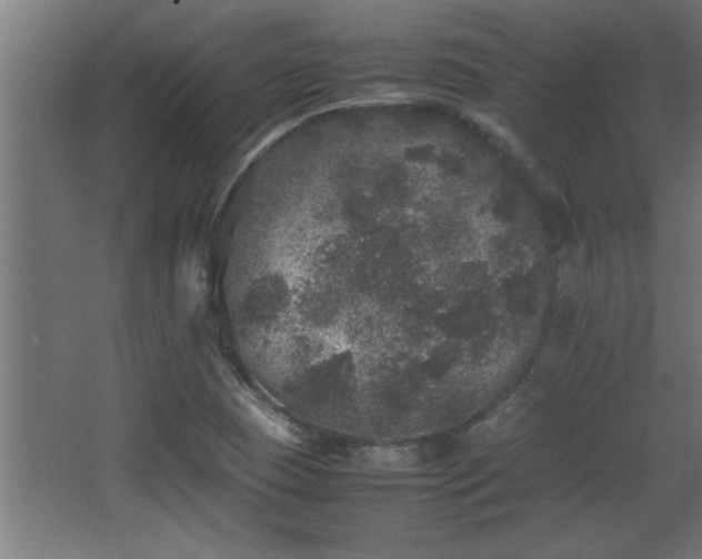 X0000067911409200604201352