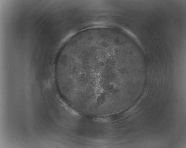 X0000067911411200604201352