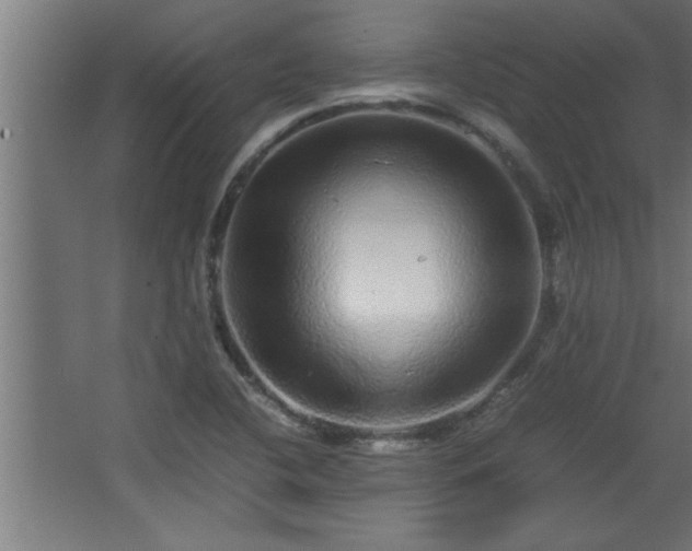 X0000067911412200604201352