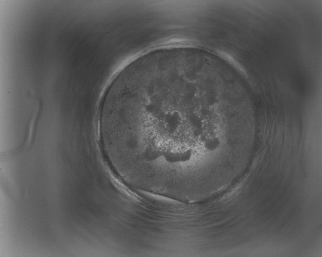 X0000067911413200604201352