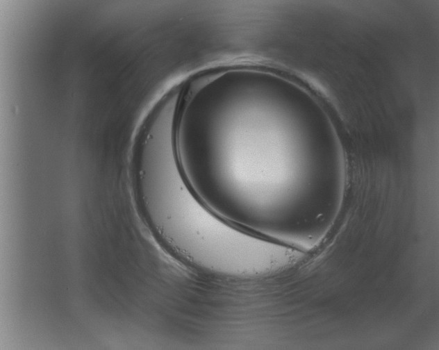 X0000067911414200604201352